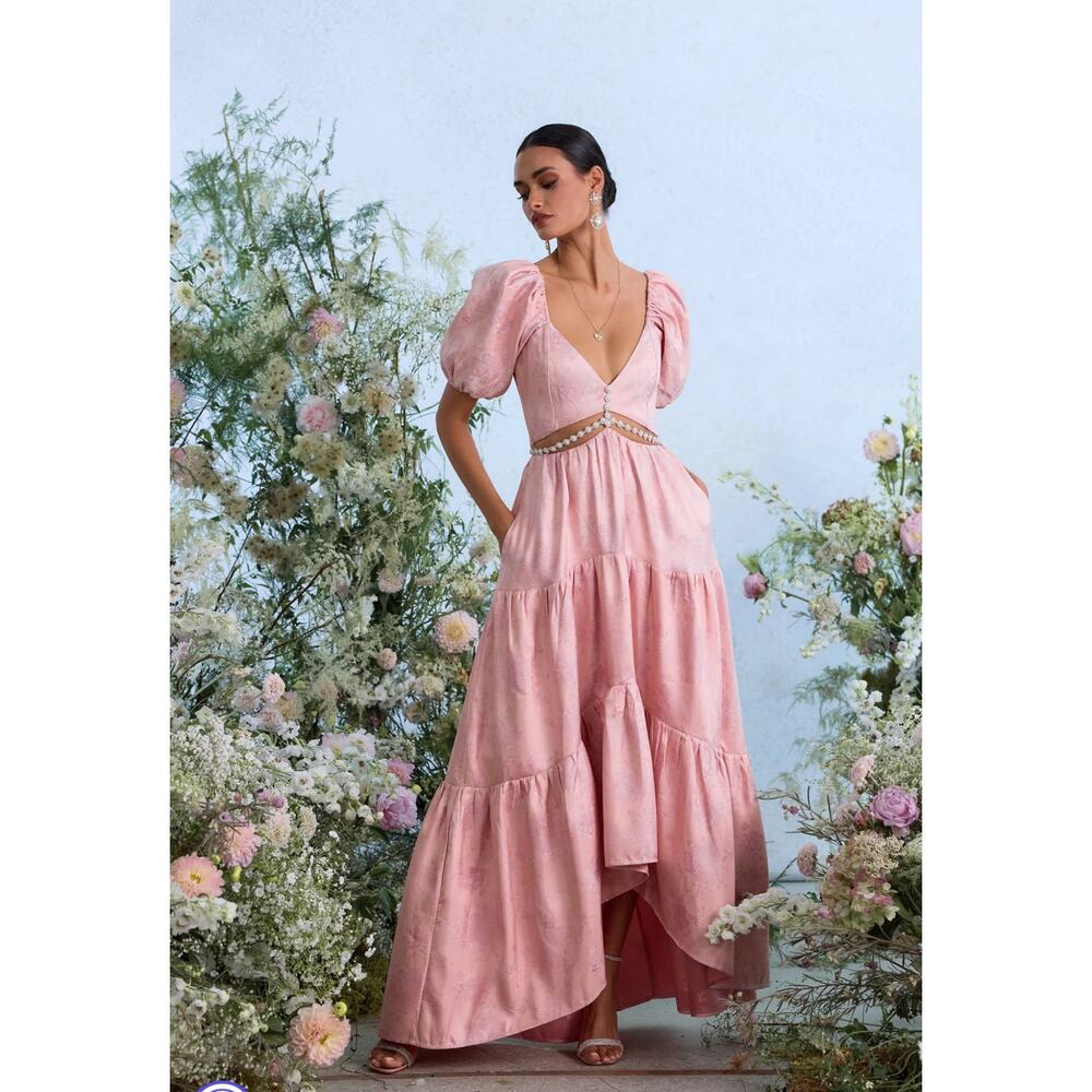 V. Chapman Anthropologie Pink Maxi Dress
